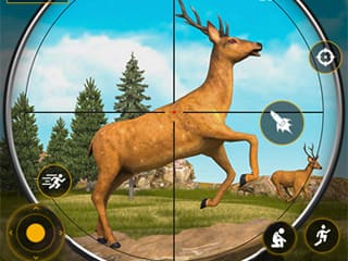 Contract Deer Hunter