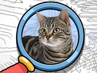 Find It Out: Oiiai Cat