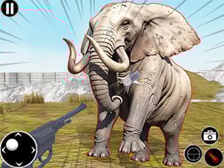 Zoo Anomaly Simulation